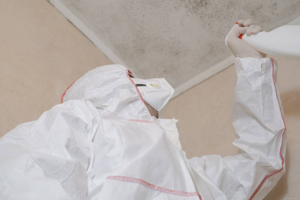 Best Health and Safety Mold Remediation in Lan, MI